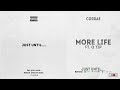 Cordae More Life Ft Q Tip Just Until mp3