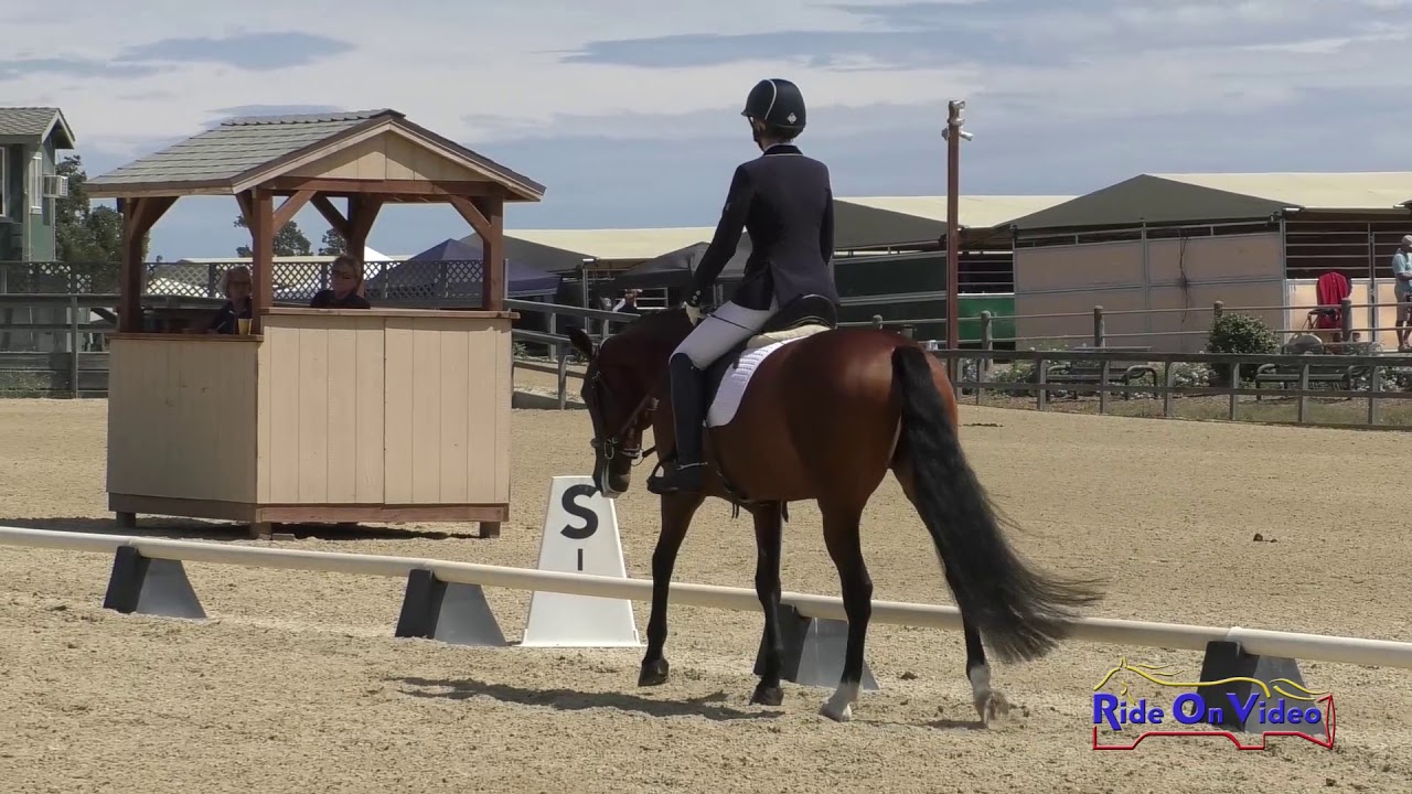 horseshoe bend 033D Kate Helffrich on Coquette Modified Training Dressage Woodside August 2019