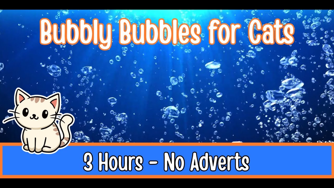 3 Hours of Underwater Bubbles for Cats & Kittens | Relaxing Cat Sleep Music & Calming Bubble Sounds