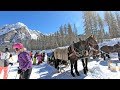 The hidden valley, Alta Badia, a ski run ending with a horse tow