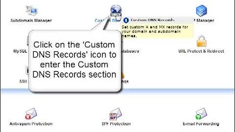 How to add a Custom AAAA Record to your domain or subdomain