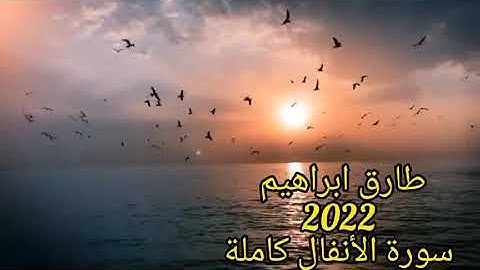 طارق ابراهيم 2022 سورة الانفال كامله