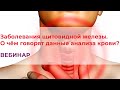 Заболевания щитовидной железы. О чем говорят данные анализов крови?