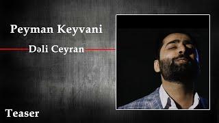 Peyman Keyvani - Dəli Ceyran - Teaser |  پیمان کیوانی -  تیزر موزیک ویدیو دلی جئیران