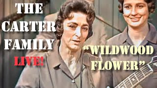 The Carter Family - Wildwood Flower (Live) COLOUR!