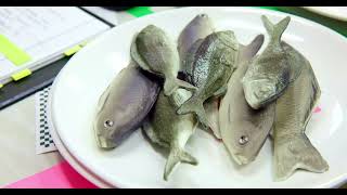 Noises Off Whats It All About? 9 Aug - 6 Sep