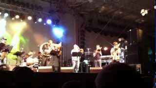 Bullhorns live am Woodstock der Blasmusik 2012