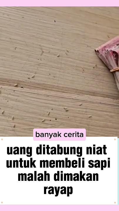 maybe it's not your luck yet bro | #shorts #news #fyp