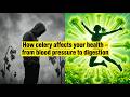 How celery affects your health – from blood pressure to digestion