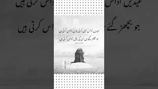 Eidein udas nai kerti yaadein udas kerti Hein. #shortvideo #shairyi #rahua #ytshorts #viralvideo
