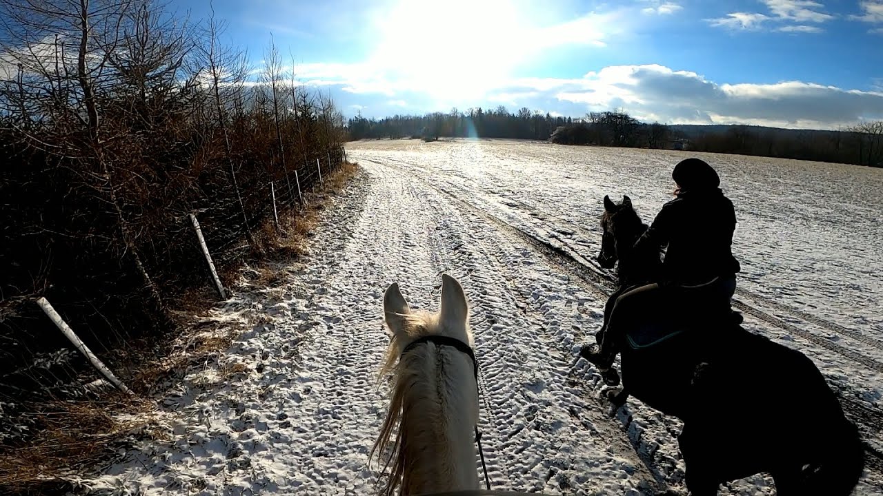 GoPro Hero 8 Horse galloping YouTube