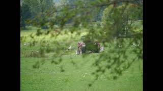 Reisegesellschaft