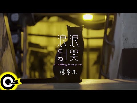 陳零九 Nine Chen【浪浪別哭 Stray Don't Cry】Official Music Video