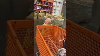 Boy rides on back of shopping cart as they go through the Halloween aisle at home depot and see wolf