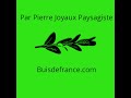 Comment planter dans les terres difficiles par pierre joyaux paysagiste