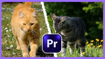 How to Create a Split Screen Burning Line Animation in Premiere Pro