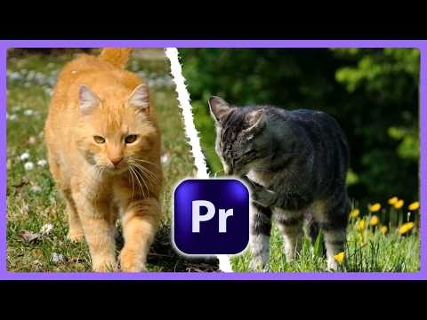 How to Create a Split Screen Burning Line Animation in Premiere Pro