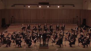 Beethoven - Symphony No.7 in A, Op.92 (II. Allegretto) | Peter Luff