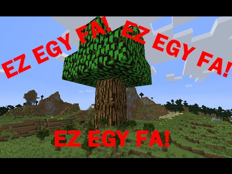 Videó: Egy Fa Lelke