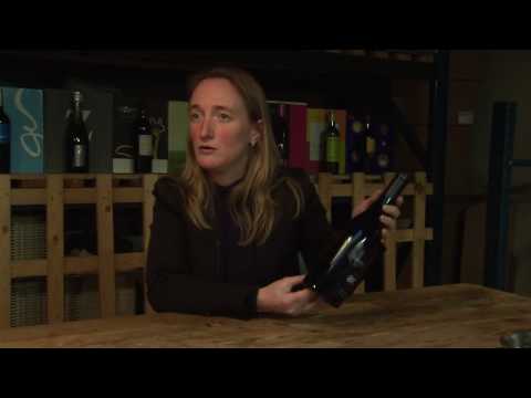 WINElife Taste & Learn - Air Red