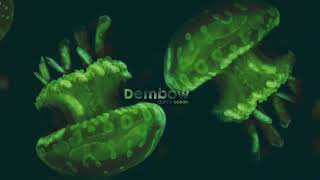Danny Ocean -Dembow (Music Video)