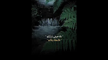 ذاب العشق هوى يا سنا الغيب طاب الجن بك ايما طيب 