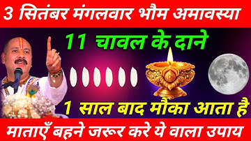 3 सितंबर मंगलवार भौमवती अमावस्या को 11 चावल दाने का उपाय जरूर करे || Pradeep Ji Mishra