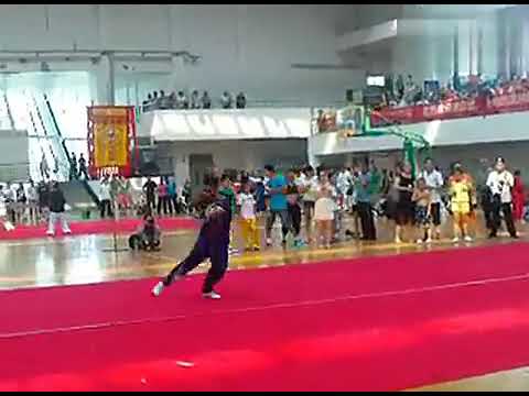 七星螳螂拳　姓名不明　摘要　2013年？