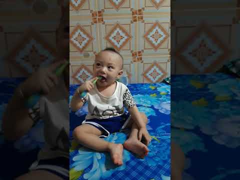 Đánh răng đi ngủ nào
