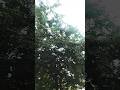 আমার আল্লাহ যদি আমার উপর সন্তুষ্ট হয়ে যায় আমার আর কিছু লাগে!! #shorts#new video#trending video#...