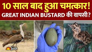 Great Indian Bustard: क्या है 'Jumpstart' तकनीक? 10 साल बाद चमत्कार! | Current Affairs | UPSC