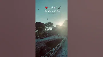 عيني انت وروحي انت ودمي دمك 