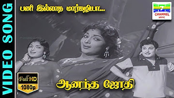 Paniyillatha Margazhiya HD Video Song | Anandha Jodhi | MGR,Devika | TMS,P.Susheela- Kannadasan-MSV
