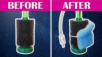 5 Hacks to Make the PERFECT Sponge Filter