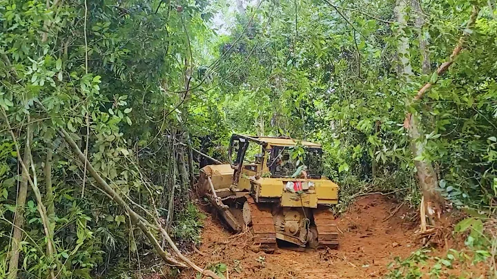 Fastest Road Opening CAT D6R XL Bulldozer Operator on Forest Road Construction