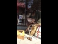 Dulcimer Busker Asheville NC 