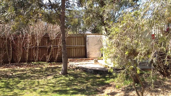 Doberman puppy vs magpie