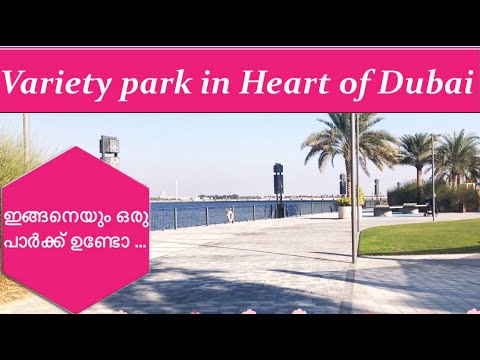 Video: Park Variety
