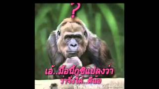 Video-Miniaturansicht von „เบอร์โทรคยเกือบหล่อ“