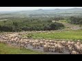 DOCUMENTÁRIO   VIDA DE BOIADEIRO