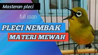 MASTERAN PLECI INI SEDANG VIRAL || pleci nembak materi mewah juri auto terpesona
