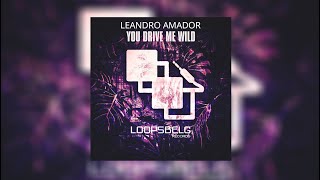 You drive me wild - Leandro Amador