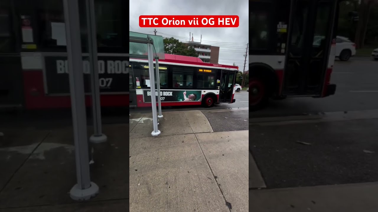 TTC Orion Vii Og Hybrid Electric Bus Ttcbus Torontotransit Subscribe Shorts
