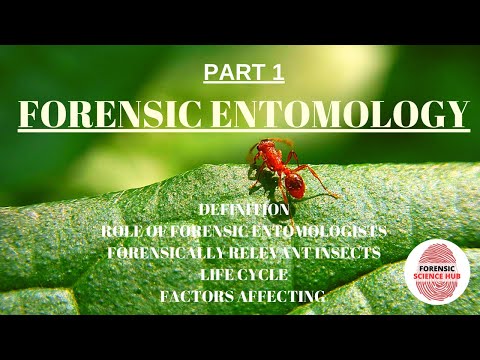 Forensic entomology | Forensically important insects | Role of forensic entomologist