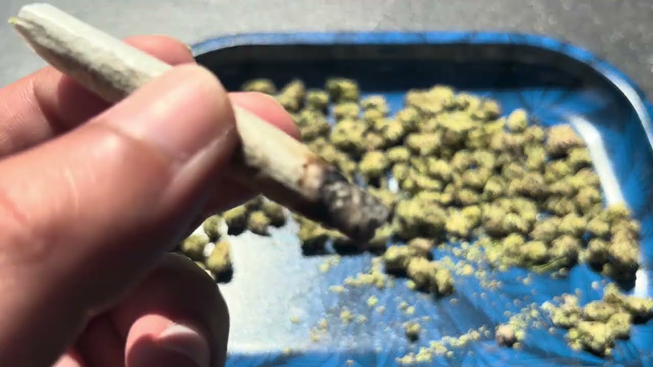 ShopHelloMary - Infinity Runtz THCA Flower Small buds