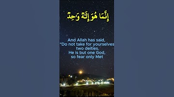 الآية ٥١ سورة النحل     القارئ الشيخ خالد عبدالله القحطاني