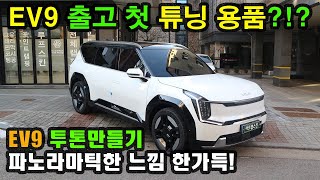 ev9 어스 출고! 첫 튜닝 용품은? 투톤 만들기!