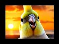 Animation video. //Cherishmas/ #song              #bird , #music ,#maa