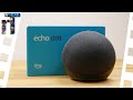 Vom Eishockey-Puck zum Ball | niceBox: Amazon Echo Dot (4. Generation) Unboxing/Vergleich [4K]