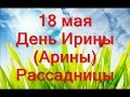 18 мая - Ирина (Арина) рассадница.Что нельзя делать